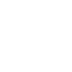 Carnaval de Rua do Rio